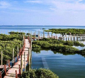 河源旅游哪里好玩(云南旅游哪里好玩)