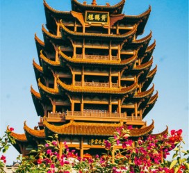 河源武汉游玩攻略(武汉游玩攻略路线)