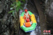 河源伴游中国三亚(三亚结伴旅游网)