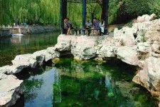 河源济南旅游攻略(青岛威海济南旅游攻略)