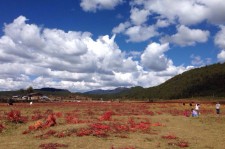 河源旅游去处(暑期最好的旅游去处)