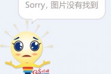 河源选美蜜斯(世界选美蜜斯)