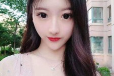 河源关于伴游中国全文免费阅读的信息
