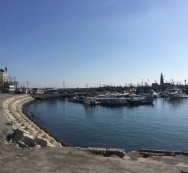 河源大连旅游攻略(大连旅游攻略自由行)