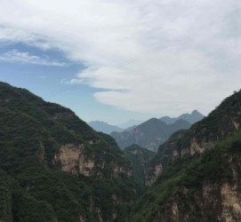 河源伴游中国伴游城(伴游网上海)