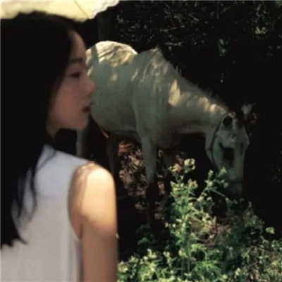 河源私家伴游让你拥有一次完美的旅游体验