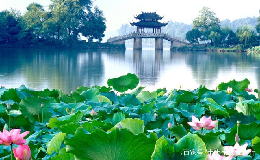 旅游景点介绍(旅游景点介绍视频)