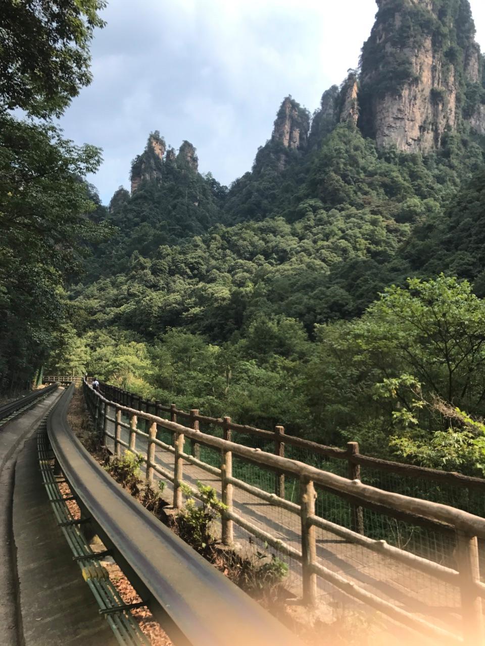 张家界兼职伴游(张家界兼职信息网)